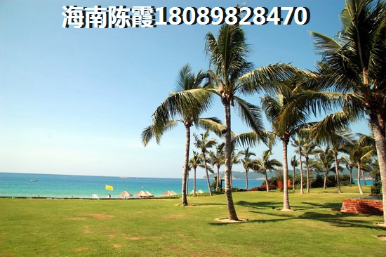 海南三亚星华亚龙ONE生纸潜力越来越大